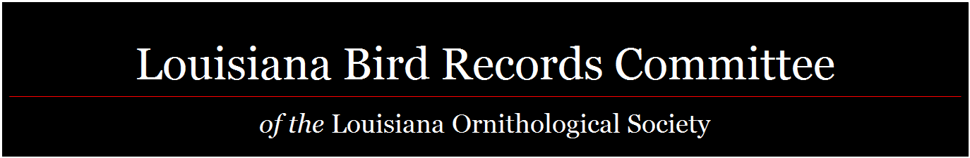 Text Box:       
Louisiana Bird Records Committee
____________________________________________________________________________________________________________________________________________________________________________________________________
of the Louisiana Ornithological Society



